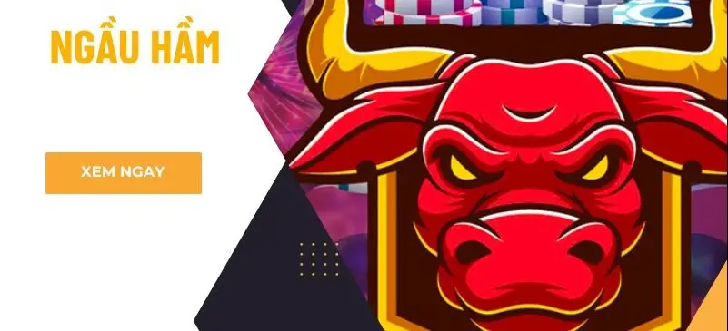 Bài Ngầu Hầm Là Gì - Giải Mã Bí Mật Trò Chơi Hot Nhất